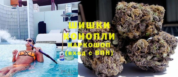 тгк Алексин