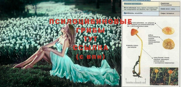 экстази Абдулино