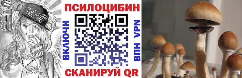 кракен ссылки  Усолье-Сибирское  Псилоцибиновые грибы Psilocybine cubensis 