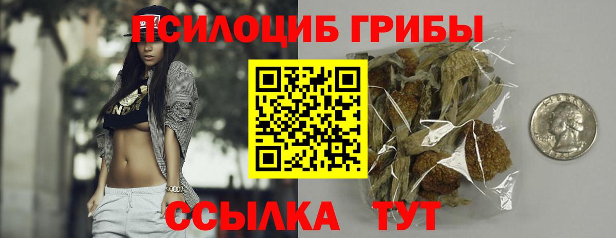 Галлюциногенные грибы Psilocybine cubensis Усолье-Сибирское